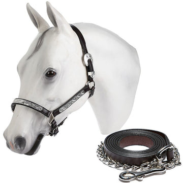 Tory Leather Oklahoma Show Halter